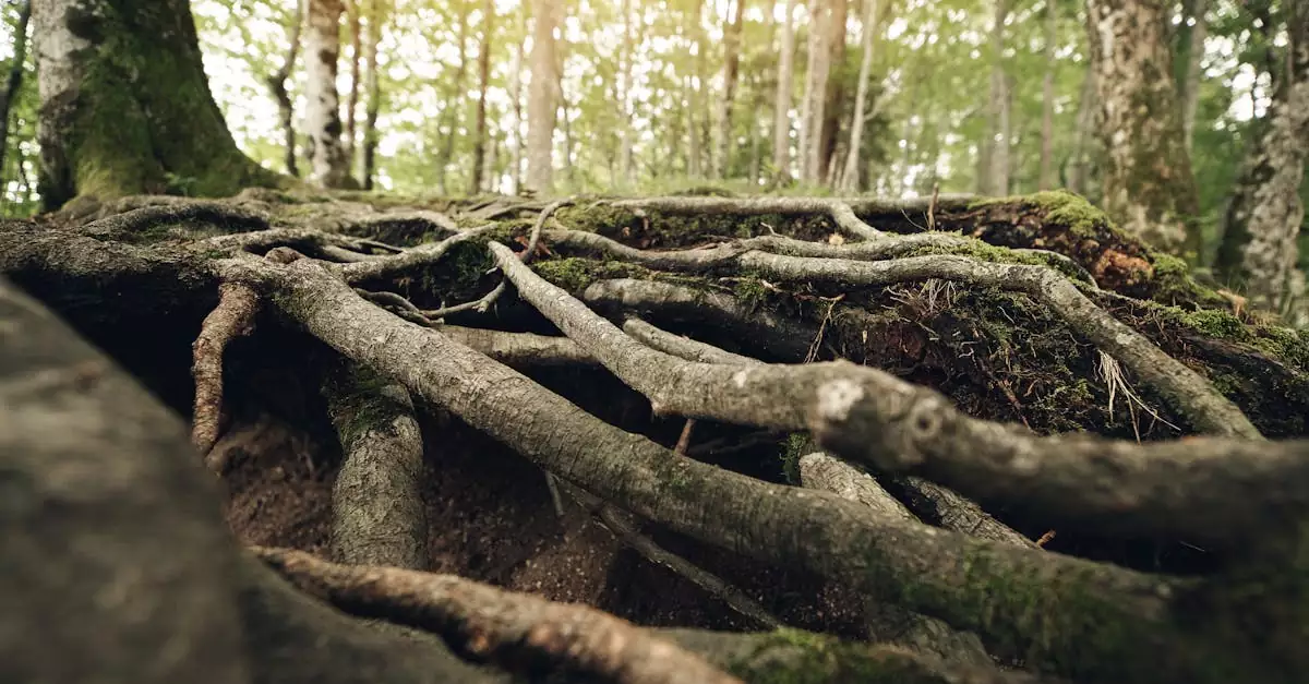 sons of the forest steam